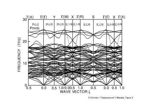 Phonon Dispersion Curves of CaTiO_3 in Pmnb